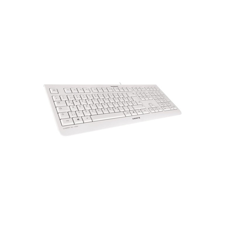 CHERRY KC 1000 tastiera Universale USB AZERTY Belga Grigio