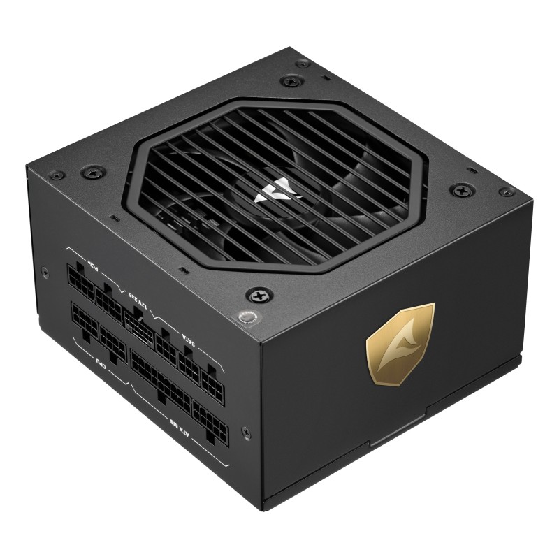 Sharkoon Rebel P20 alimentatore per computer 1000 W 24-pin ATX ATX Nero