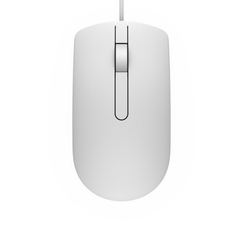 DELL MS116 mouse Ambidestro USB tipo A Ottico 1000 DPI